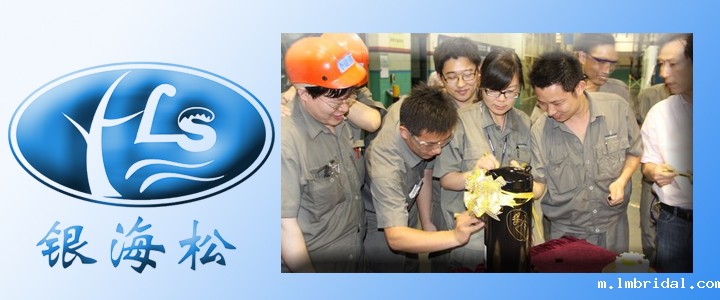 技术团队.jpg 技术团队.jpg