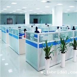 ac米兰比赛录像简介